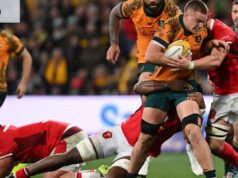 Intimidar os Kiwi Blues será um bom teste para a próxima arma dos Wallabies, Charlie Cale