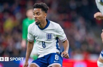 Notícias sobre transferência de lobos: Adam Armstrong e Angel Gomes assinam