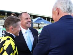 Os laços do brilho do outono pesam ricas possibilidades