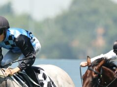 Diretrizes da corrida e preliminares em Rosehill no sábado