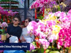 Os lojistas de Hong Kong estão otimistas, apesar do aumento dos aluguéis, enquanto multidões se reúnem para o festival do Ano Novo Lunar.