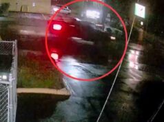 VÍDEO: Suspeito em caminhão preto procura pessoa gravemente ferida no incidente de atropelamento e fuga de Aloha