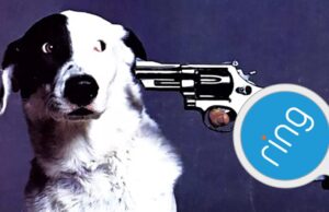 Amazon’s Ring quer cuidar dos seus Ave Puppies