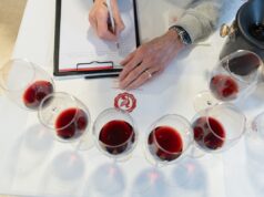 4,5 Vino Nobile 2023, valor de 1 bilhão de euros para Montepulciano