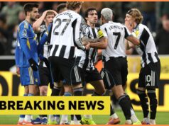 Antonio Cassano ataca a estrela do Newcastle, Sandro Tonali