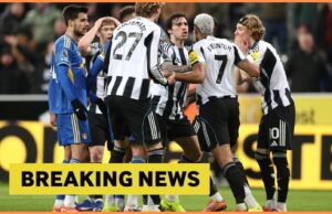 Antonio Cassano ataca a estrela do Newcastle, Sandro Tonali