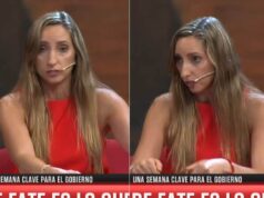 Julia Estrada explica por que a reforma trabalhista afeta a todos POLÍTICA El Intransigente