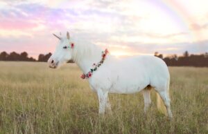 Conheça o novo unicórnio europeu de 2016