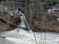 Democratas enfrentam reação negativa por postagens sobre vazamentos de esgoto no rio Potomac
