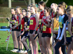 O novo capacete do Rei Henrique VIII Relays Hall