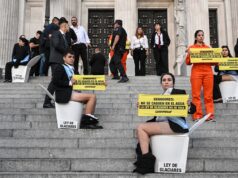 Ativistas pularam a cerca da lei das geleiras e foram presos Política El Intransigente