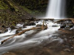 Oregon cobrará taxas de estacionamento em mais 22 parques estaduais