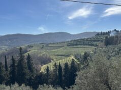 Caminhadas em Chianti: Ou pelas ruas entre os vinhedos