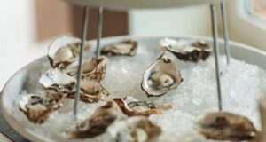 ‘Shellabration’ de sabores costeiros no Pal’s Oregon Oyster Festival