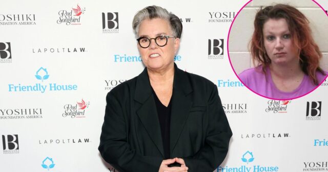 Promo-Rosie-ODonnell-troubled-daughter-Chelsea-accused-of-assault-after-touching-mans-genitals.jpg