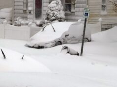 Esqueça o príncipe de madeira – a Blizzard mediu 2016 com o iPhone