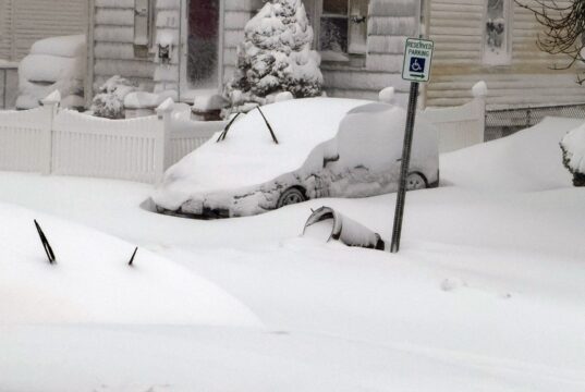 Esqueça o príncipe de madeira – a Blizzard mediu 2016 com o iPhone