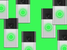 Grupos de busca com tecnologia de IA não param em encontrar cães perdidos, mostra um e-mail vazado