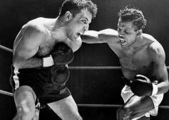 Bitter Enemy – Associação Mundial de Boxe – Notícias do encaixotamento