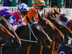 Prévia de sexo e dicas para Sapphire Beach no domingo