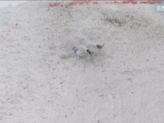 Willcox tropeça na corrida pela medalha de ouro