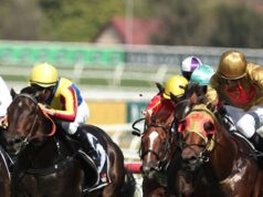 Dicas e prévias de sexo para Gosford quarta-feira