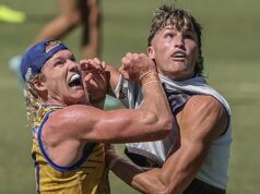 O futuro é brilhante para os West Coast Eagles, mas falta uma peça-chave, diz Scott Waters