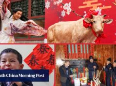 Como os chineses superam os desafios ‘comendo’ e ‘chicotando’ a primavera.