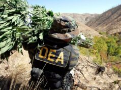 A Bolívia está atualmente cooperando com a DEA na área do tráfico de drogas no país