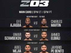 Efe Ajagba x Martin Vídeo COMPLETO de luta e destaques 2026