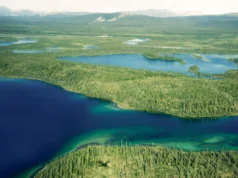 Uma simples mudança de água poderia transformar as terras agrícolas do Ártico num sumidouro de carbono