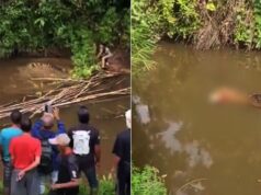 Terror na Indonésia: crocodilo gigante mata mulher no rio e resgate dramático é filmado