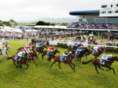 Dicas, antes da reunião de terça-feira em Kembla Grange