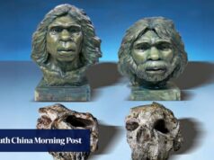 Quando nossos ancestrais, o Homo erectus, deixaram a África e chegaram à China?