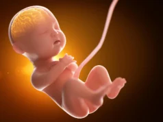 Bebês expostos a muito mais “produtos químicos para sempre” antes do nascimento do que os cientistas pensavam