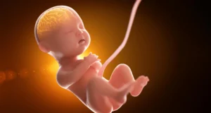 Bebês expostos a muito mais “produtos químicos para sempre” antes do nascimento do que os cientistas pensavam