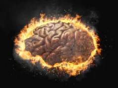 Inflamação cerebral pode causar comportamento compulsivo