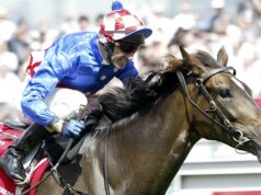 Makybe Diva, três vezes vencedora da Melbourne Cup, morreu de complicações aos 28 anos