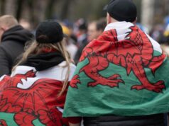 ‘Comovente, triste, vergonhoso’ – os fãs do País de Gales reagem à situação