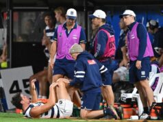 O grande felino se machucou na derrota da pré-temporada para o novo visual dos Blues