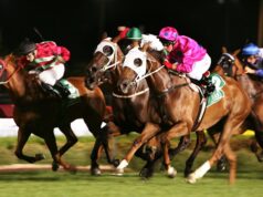 Dicas separadas por corrida e uma olhada em Canterbury na noite de sexta-feira