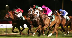 Dicas separadas por corrida e uma olhada em Canterbury na noite de sexta-feira