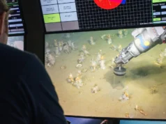 Os cientistas descobriram o ancestral amante do oxigênio de toda a vida complexa