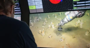 Os cientistas descobriram o ancestral amante do oxigênio de toda a vida complexa