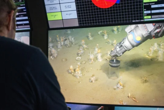 Os cientistas descobriram o ancestral amante do oxigênio de toda a vida complexa