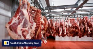 O Brasil corre para limitar a carne bovina da China, já que a tarifa de 55% ameaça deprimir os preços.