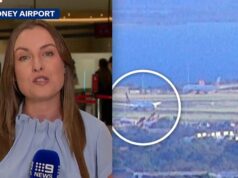 O voo dos chefes da NRL para Las Vegas está de volta