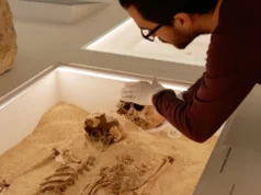 DNA antigo desvenda o mistério de 12.000 anos de raro distúrbio de crescimento genético