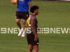 Tiger foi suspenso após o incidente DUI