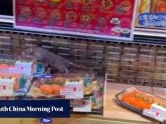 Rato em Don Don Donkey Sushi Chiller grita de acordo com os padrões de higiene de Hong Kong